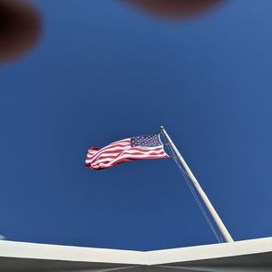 Meet your Posher, Perry